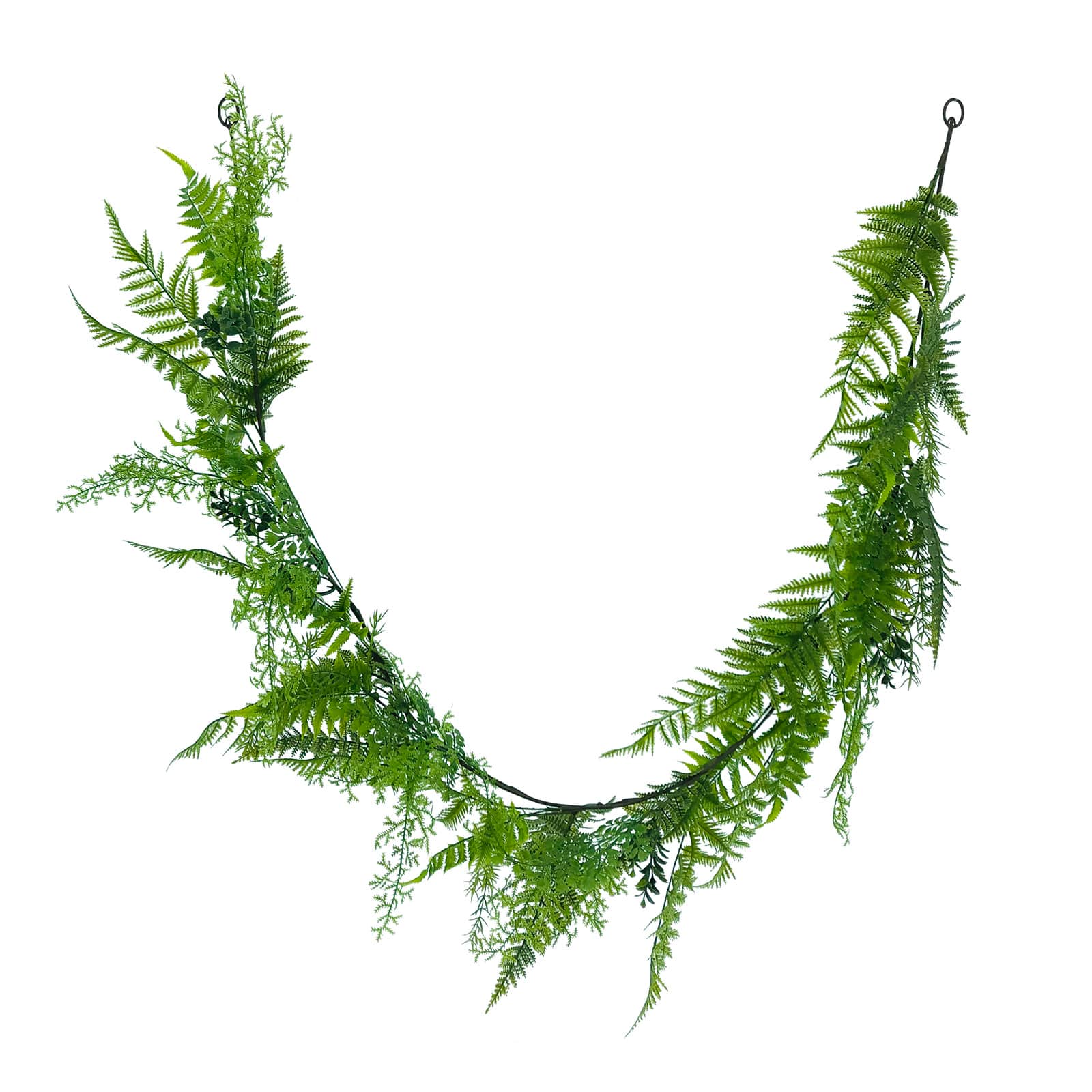 6ft. Boston Fern Garland by Ashland®