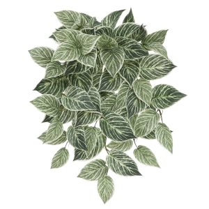 23" Philodendron Birkin Hanging Bush by Ashland®