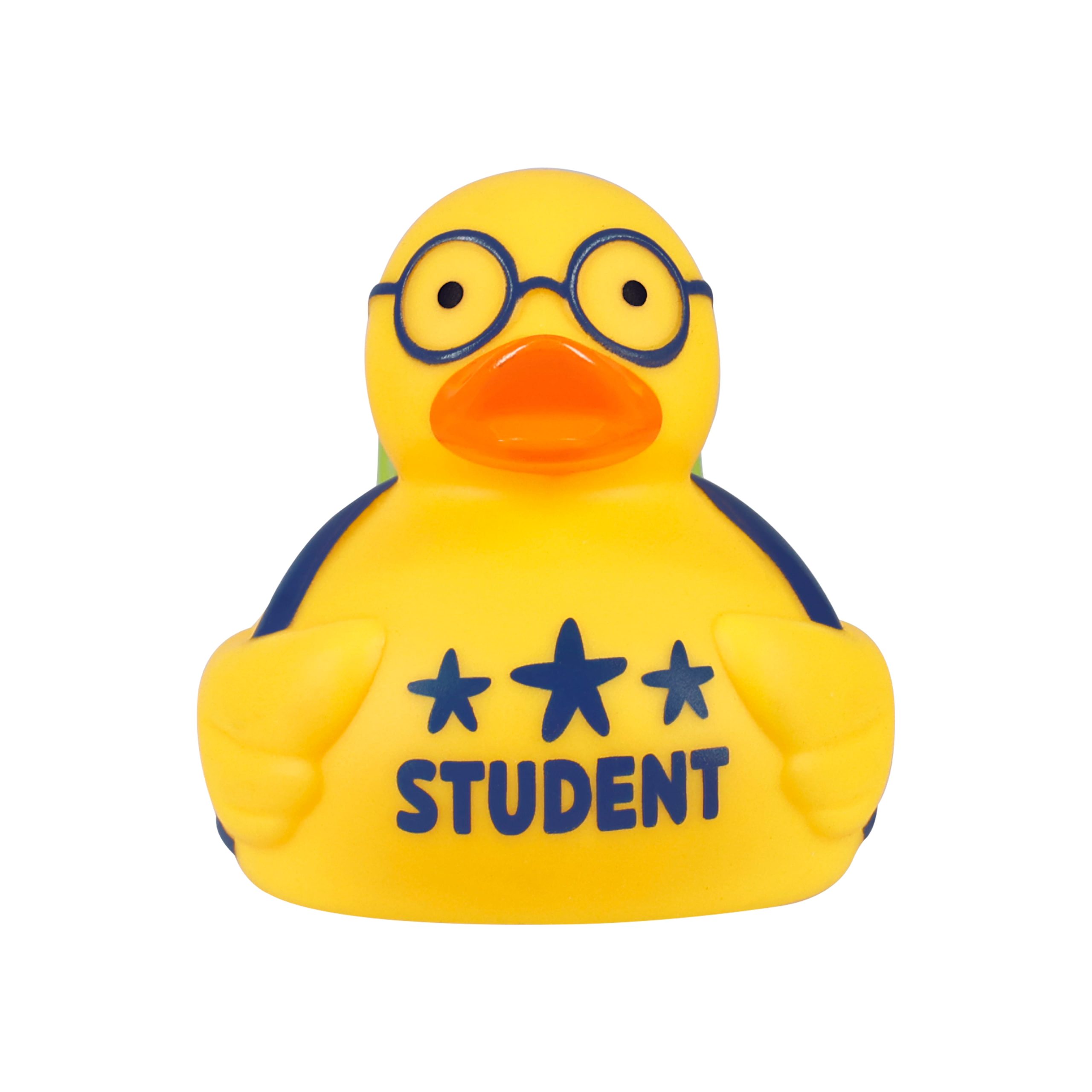 Treasure Box 3.5" Back to School Rubber Duck by Creatology™