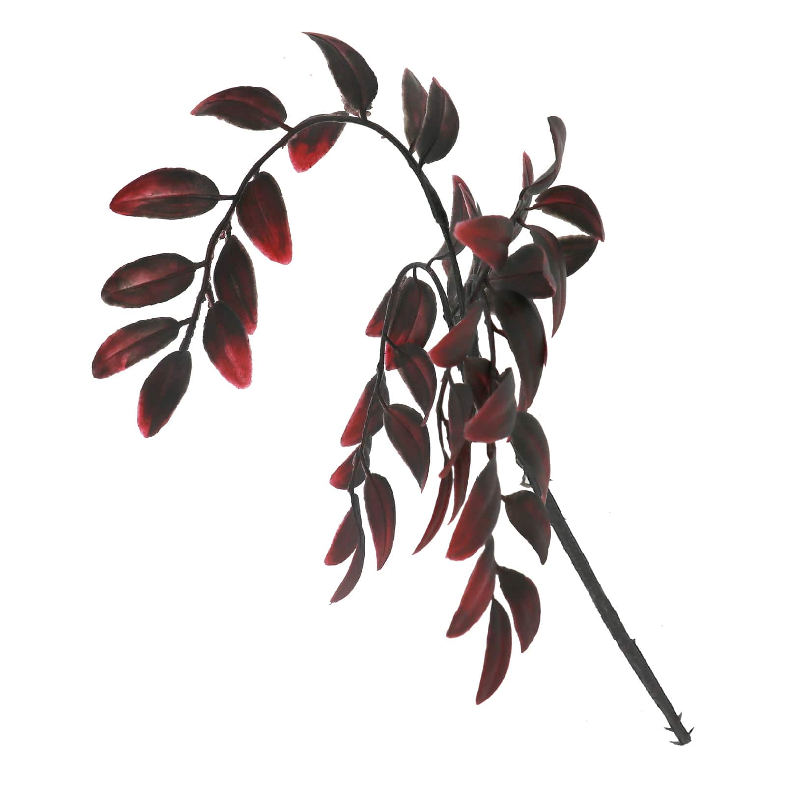 12" Oval Leaf Pick by Ashland®
